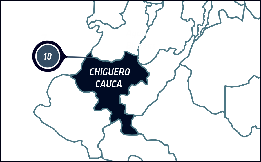 CAUCA, CHIGUERO